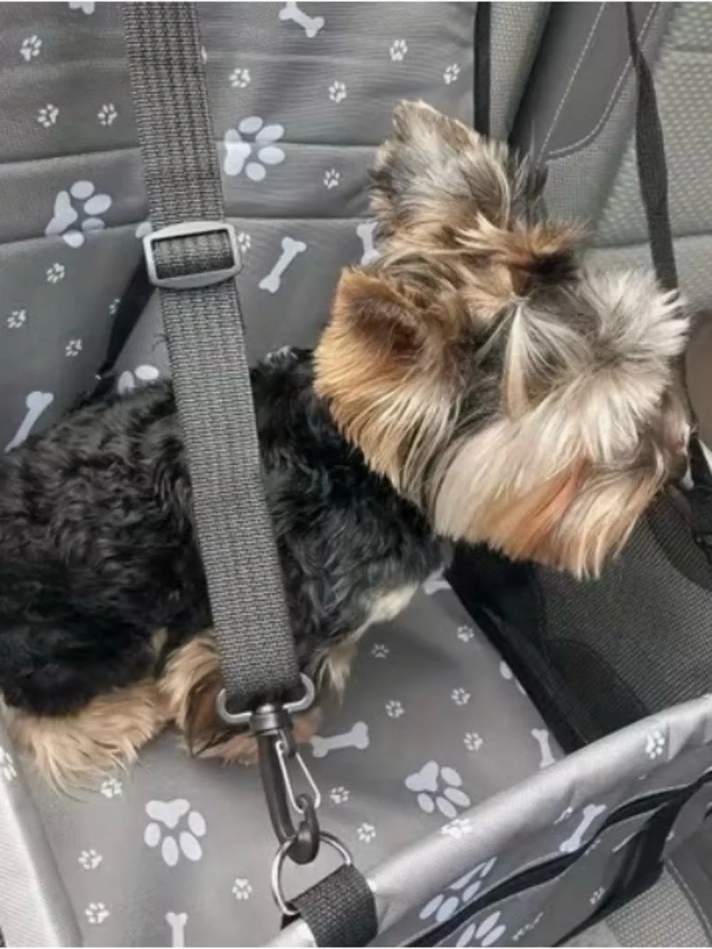 Gray Paw & Bone Pet Car Seat Liner